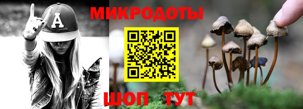 Родники  Галлюциногенные грибы ЛСД  Вход с VPN 